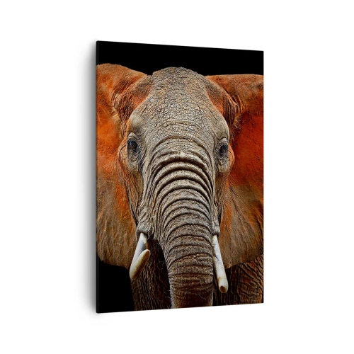 Bild auf Leinwand - Leinwandbild - Porträt eines Elefanten auf schwarzem Hintergrund - 70x100cm - Ich bin wild und du? - Moderne Wanddekoration für Wohnzimmer und Schlafzimmer ARTTOR