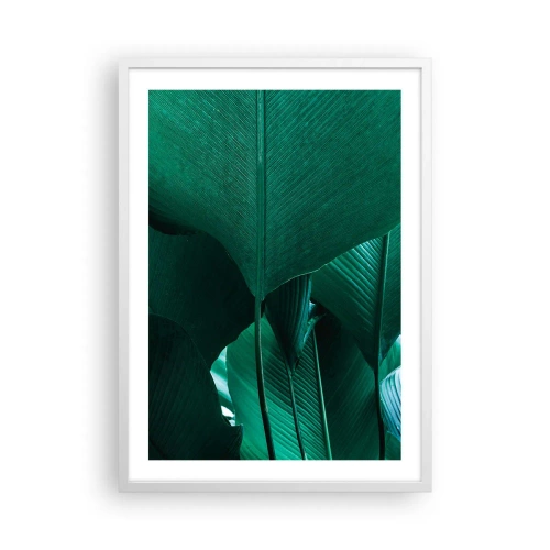 Poster in einem weißen Rahmen - Dem Licht zugewandt - 50x70 cm