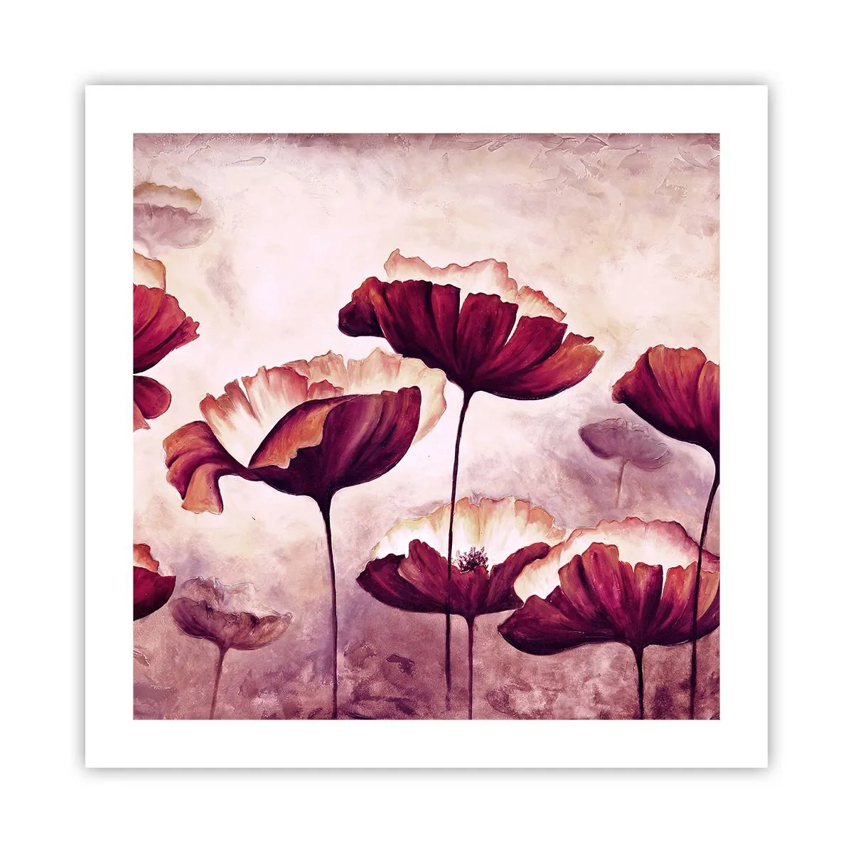 Poster - Rotes und weißes Blütenblatt - 50x50 cm