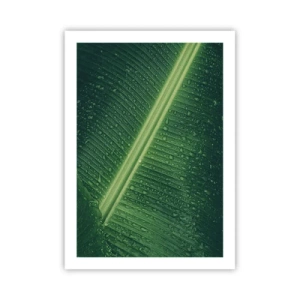 Poster - Nahaufnahme eines grünen Blattes mit Wassertropfen - 50x70cm - Die Struktur des Grüns - Moderne Wanddekoration für Wohnzimmer und Schlafzimmer ARTTOR
