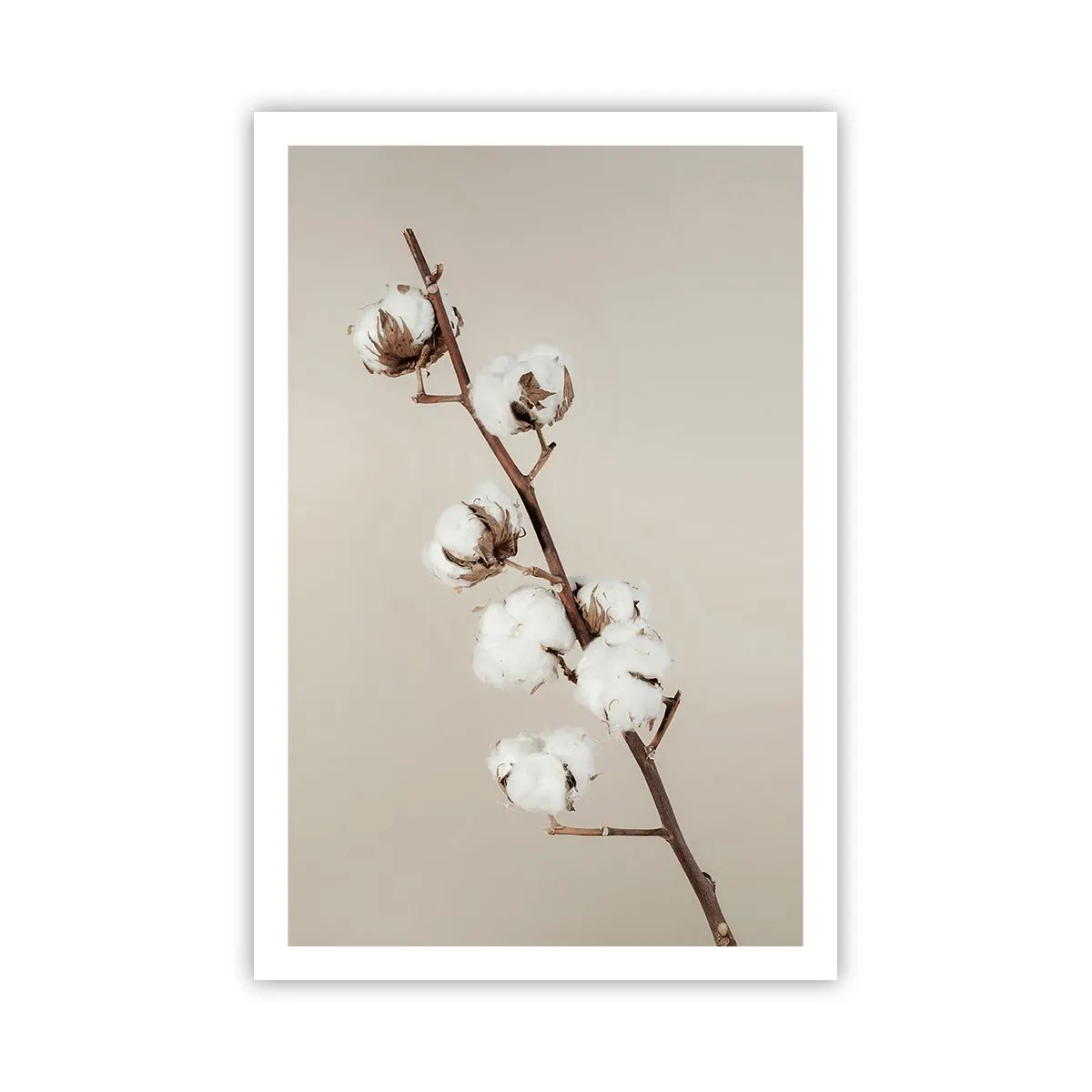 Poster - An der Quelle der Weichheit - 61x91 cm