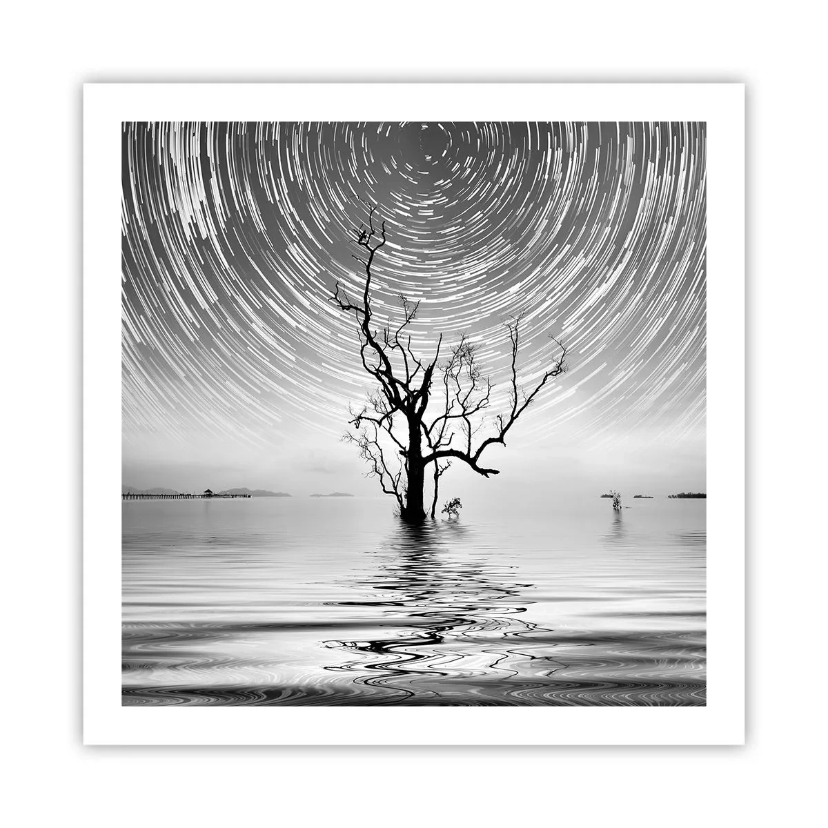 Poster - Eine Sinfonie der Natur - 60x60 cm