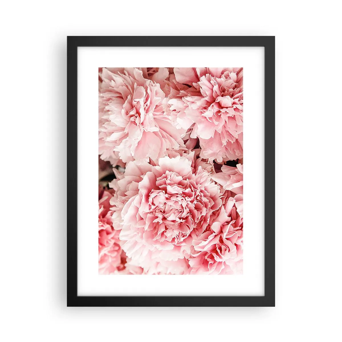 Poster in einem schwarzem Rahmen - Rosa Traum - 30x40 cm