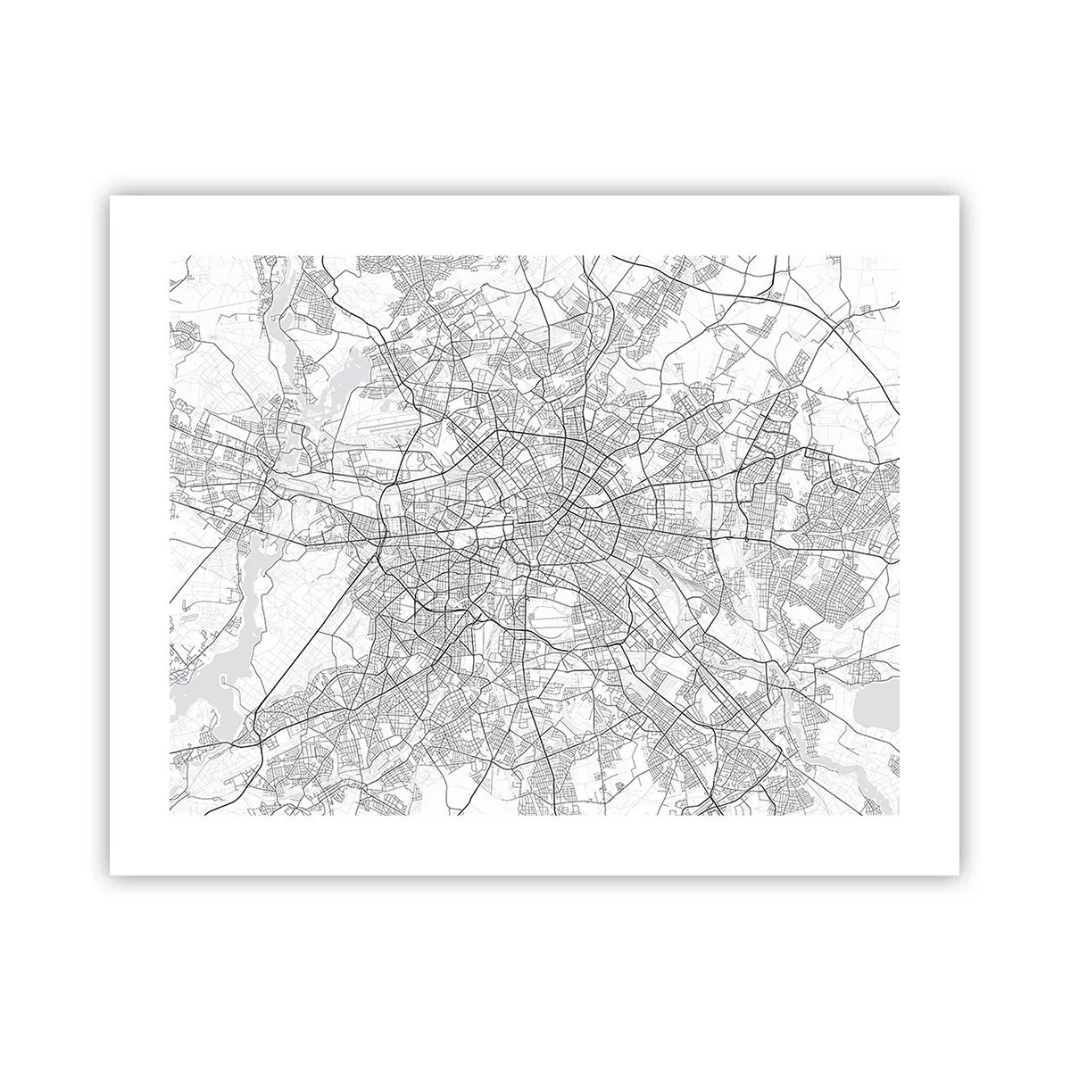 Poster - Berliner Blume - 50x40 cm