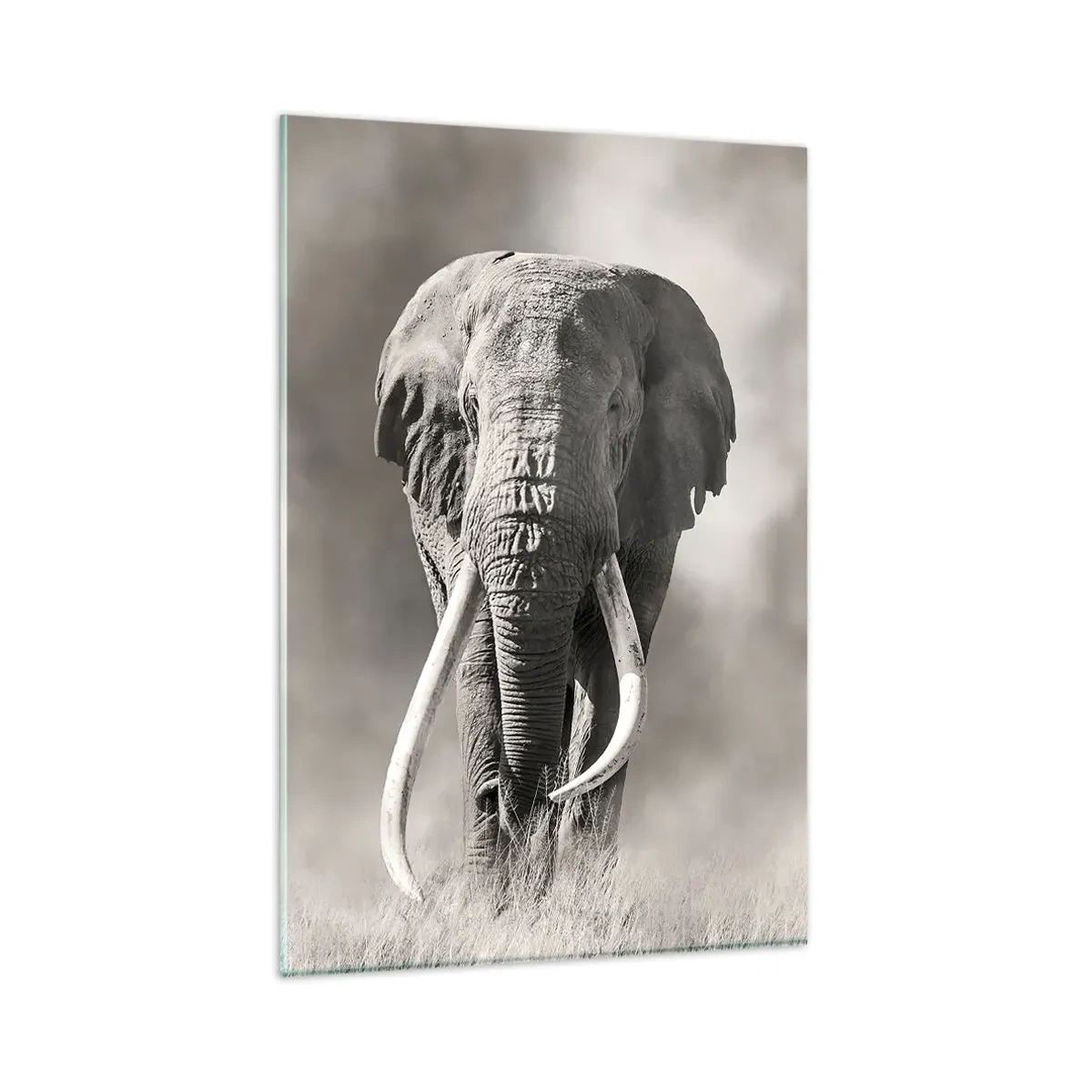 Glasbild - Bild auf glas - Afrikanischer Patriarch - 80x120 cm