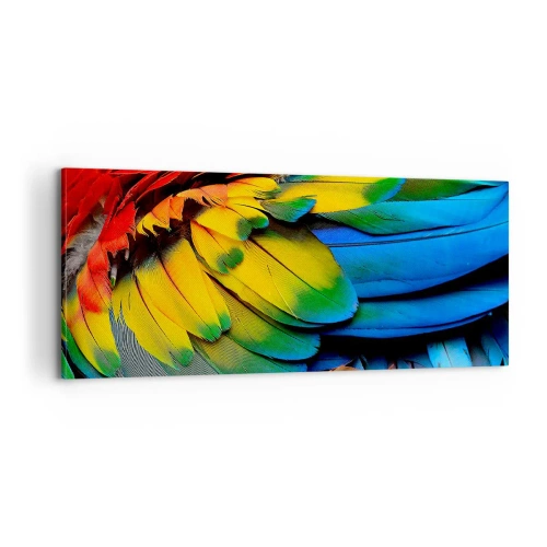 Bild auf Leinwand - Leinwandbild - Paradiesvogel - 100x40 cm