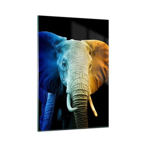 Glasbild - Bild auf glas - Elefantenporträt in Regenbogenfarben - 80x120cm - Exzentrisch, kein Verrückter - Moderne Wanddekoration für Wohnzimmer und Schlafzimmer ARTTOR