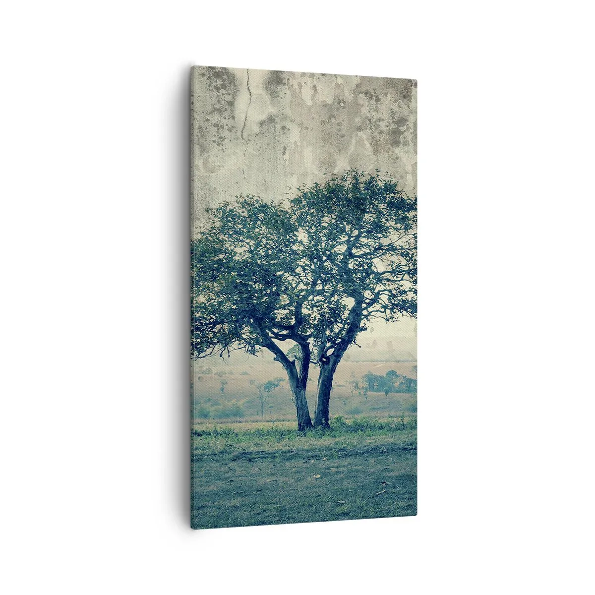 Bild auf Leinwand - Leinwandbild - Ein Apfelbaum auf blauem Feld? - 55x100 cm