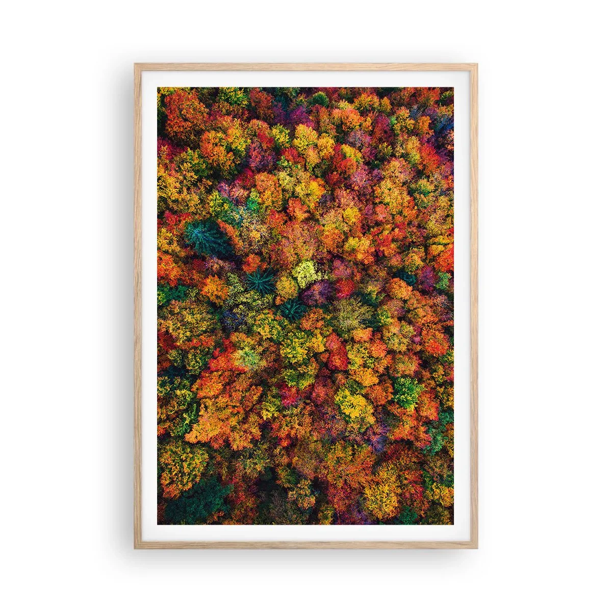 Poster in einem Rahmen aus heller Eiche - Blumenstrauß aus Herbstbäumen - 70x100 cm