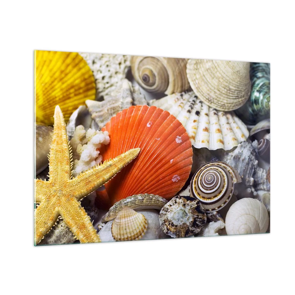 Glasbild - Bild auf glas - Bunte Muscheln und Seesterne in einer Meereskomposition - 100x70cm - Schätze des Ozeans - Moderne Wanddekoration für Wohnzimmer und Schlafzimmer ARTTOR