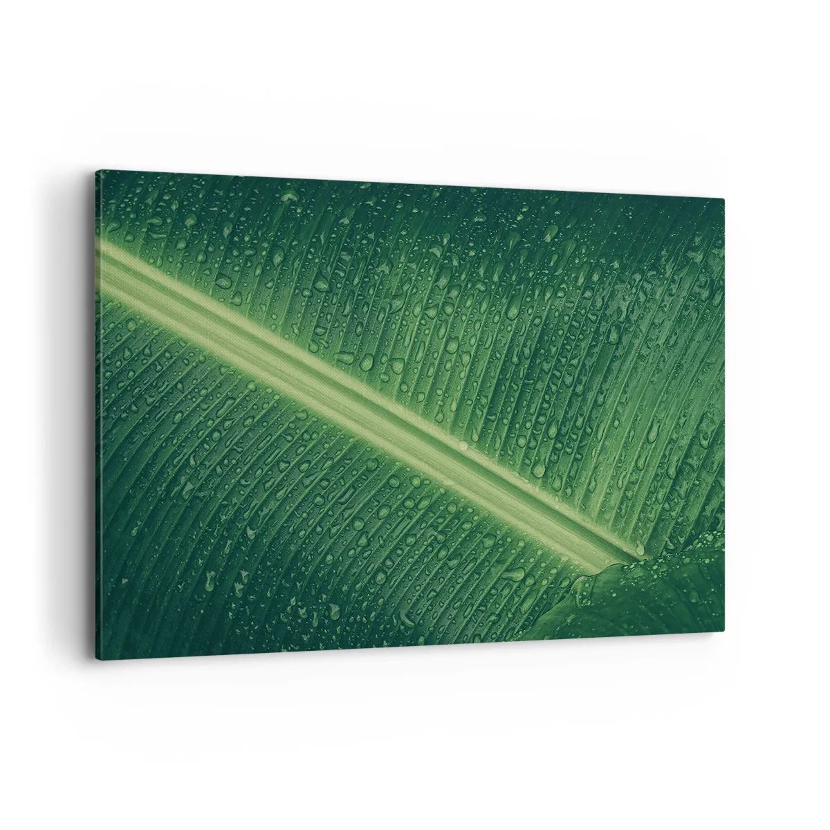 Bild auf Leinwand - Leinwandbild - Ein grünes Blatt mit Wassertropfen auf der Oberfläche - 120x80cm - Die Struktur des Grüns - Moderne Wanddekoration für Wohnzimmer und Schlafzimmer ARTTOR