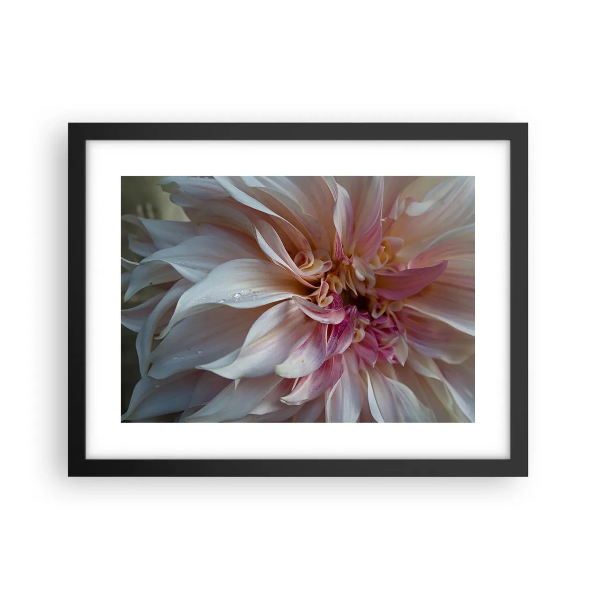 Poster in einem schwarzem Rahmen - Blühende Frische - 40x30 cm