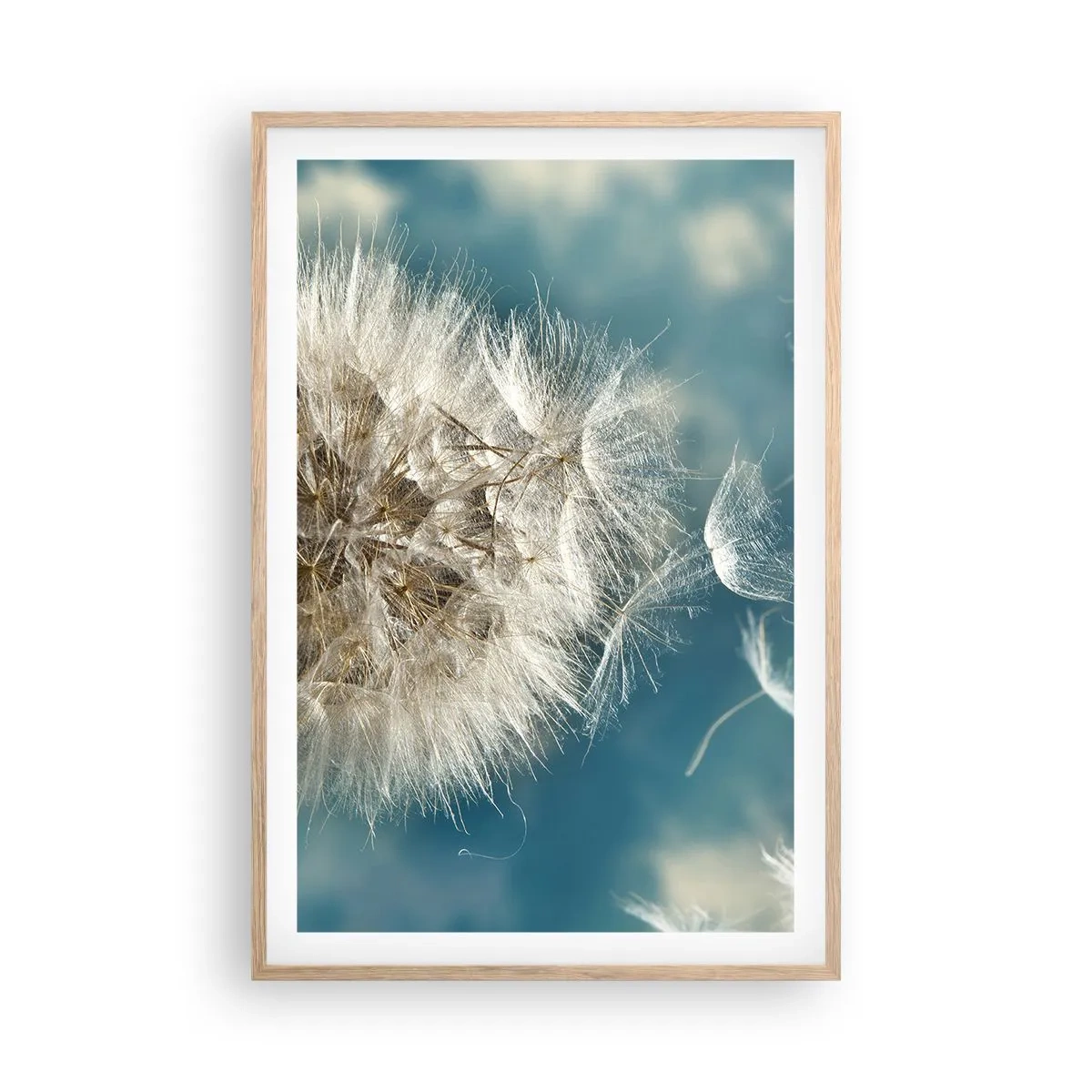 Poster in einem Rahmen aus heller Eiche - Engelsatem - 61x91 cm