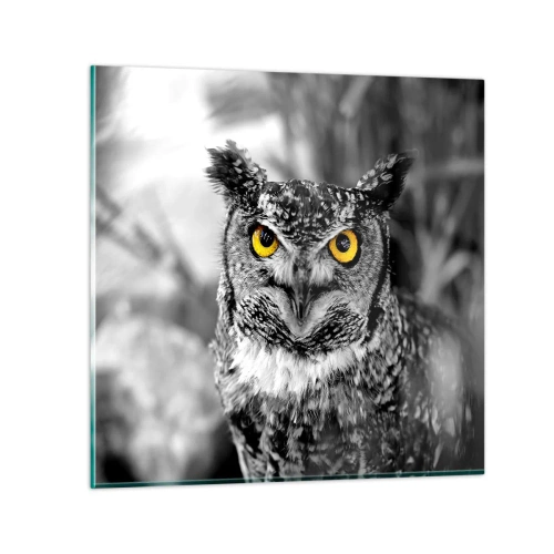 Glasbild - Bild auf glas - Nichts wird sich verstecken - 60x60 cm