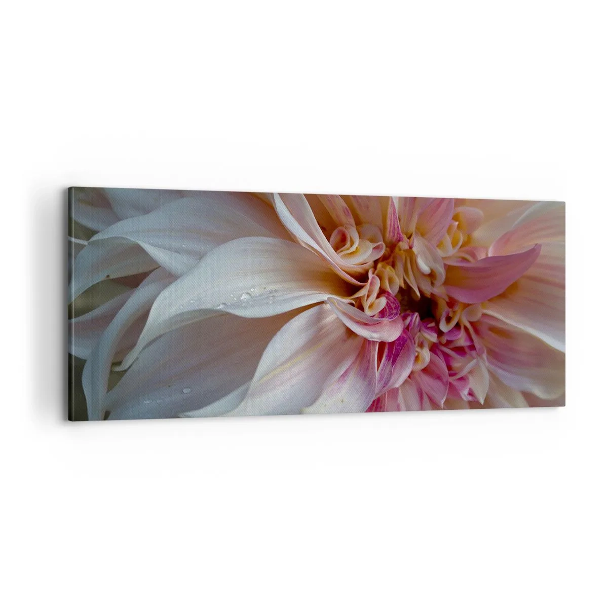 Bild auf Leinwand - Leinwandbild - Blühende Frische - 100x40 cm