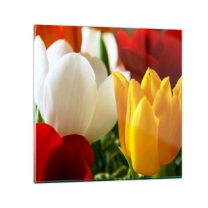 Glasbild - Bild auf glas - Tulpenfieber - 30x30 cm