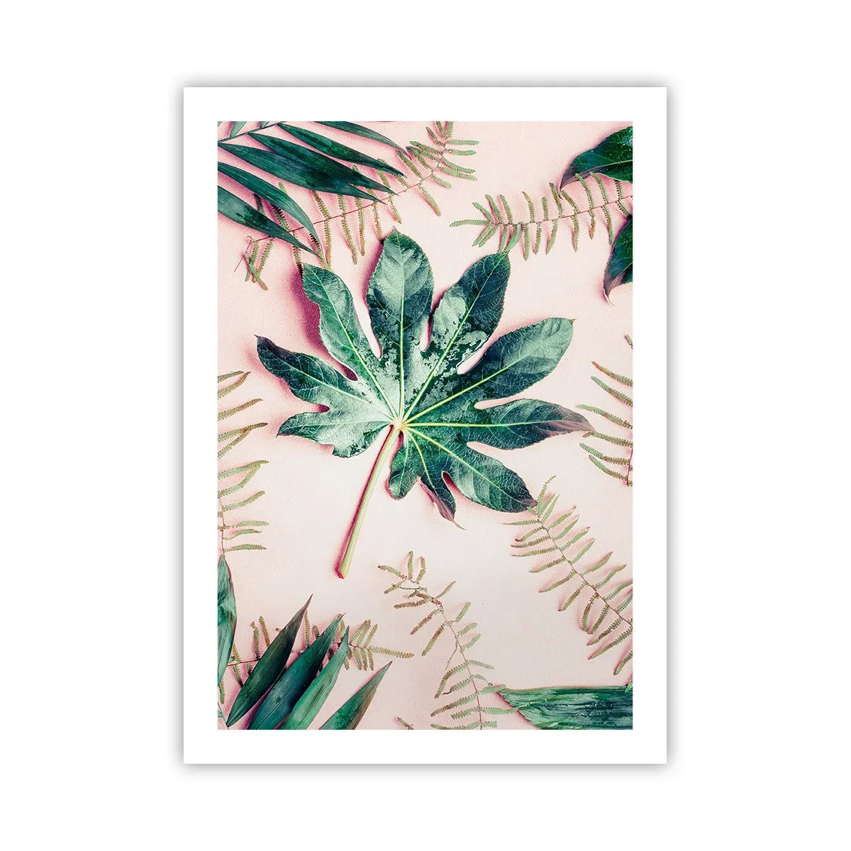 Poster - Blätter in verschiedenen Grüntönen auf rosa Hintergrund - 50x70cm - Eine Studie von Grün auf einem rosa Hintergrund - Moderne Wanddekoration für Wohnzimmer und Schlafzimmer ARTTOR