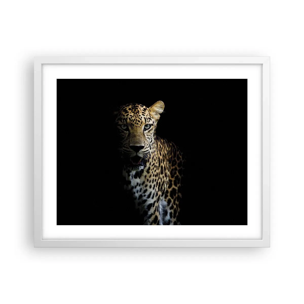 Poster in einem weißen Rahmen - Dunkle Schönheit - 50x40 cm