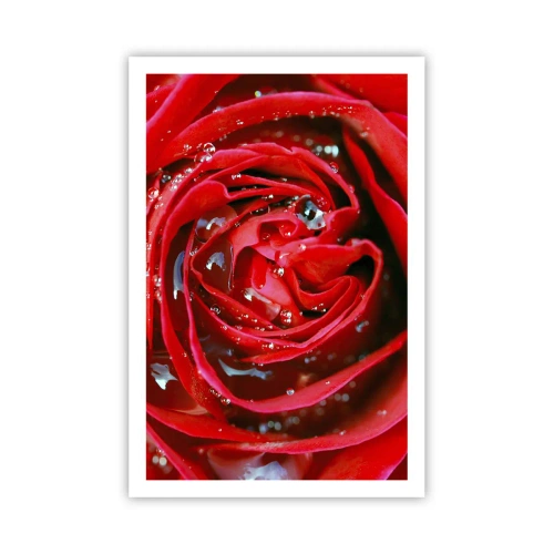 Poster - In den Tautropfen - 61x91 cm