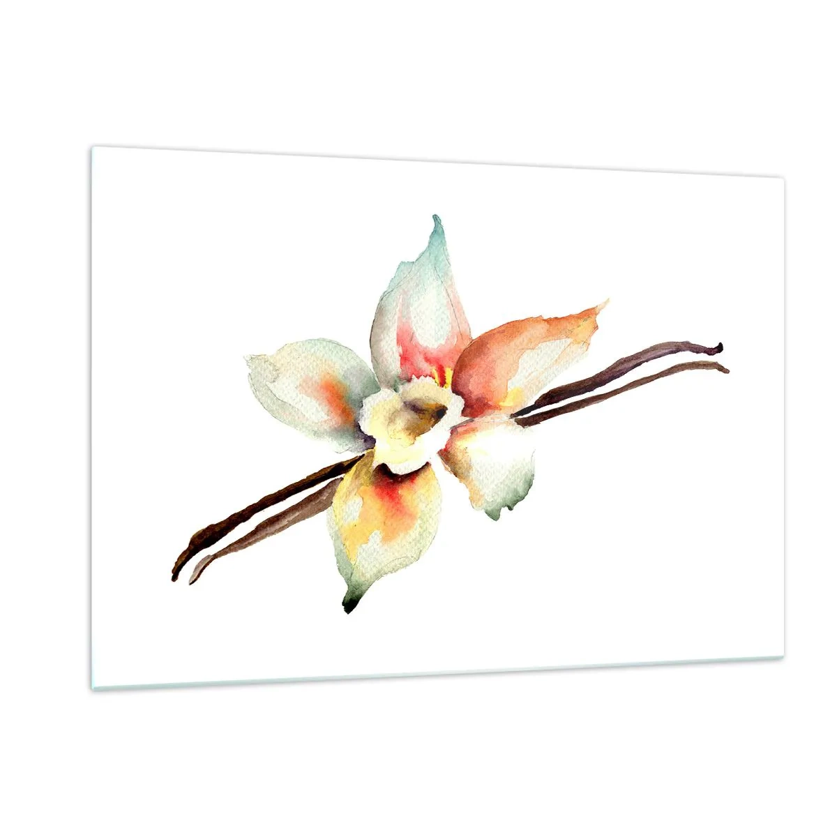 Glasbild - Bild auf glas - Aquarell-Illustration einer Vanilleblüte auf weißem Hintergrund - 120x80cm - Süße mit Farbe verschüttet - Moderne Wanddekoration für Wohnzimmer und Schlafzimmer ARTTOR