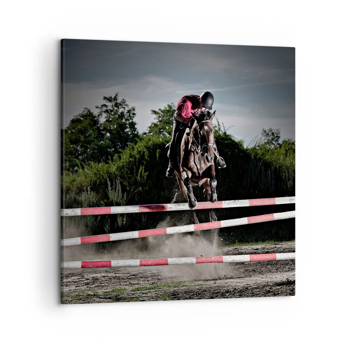 Bild auf Leinwand - Leinwandbild - Gemeinsam zum Sieg - 50x50 cm