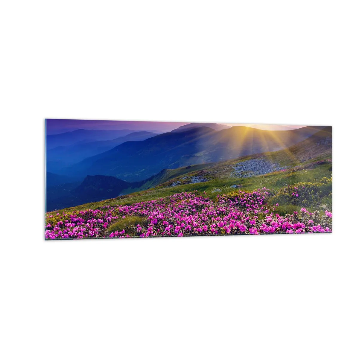 Glasbild - Bild auf glas - Eine blühende Wiese mit Blick auf die Berge bei Sonnenuntergang - 140x50cm - … Und drumherum duftet es nach Latschenkiefer und dem Duft von Kräutern - Moderne Wanddekoration für Wohnzimmer und Schlafzimmer ARTTOR