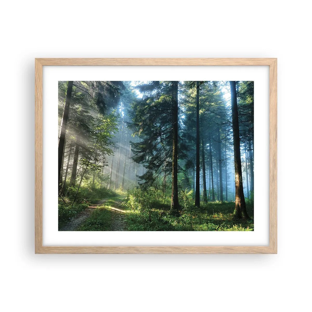 Poster in einem Rahmen aus heller Eiche - Strahlend am Morgen - 50x40 cm