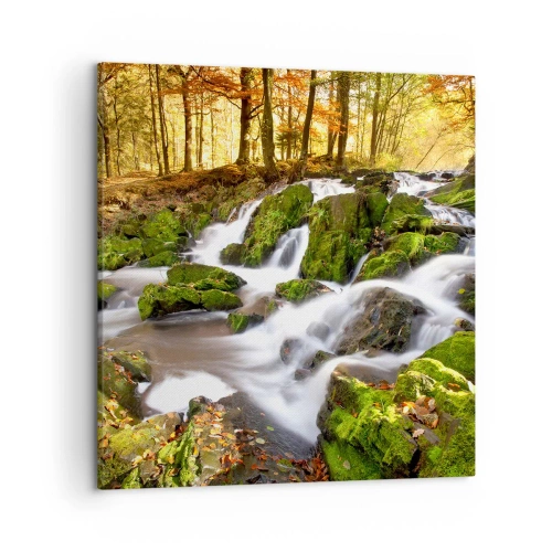 Bild auf Leinwand - Leinwandbild - Rasch durch den herbstlichen Wald - 50x50 cm