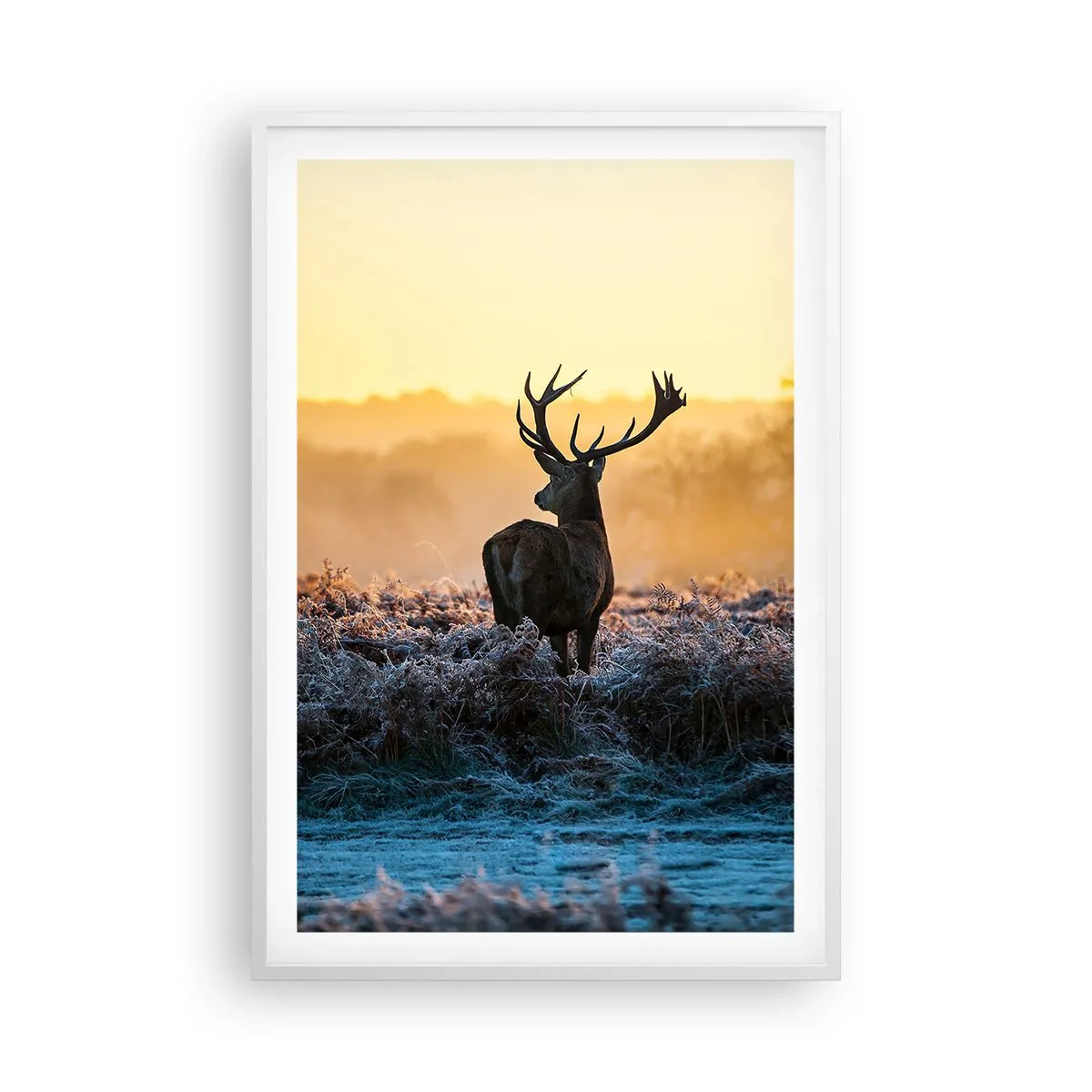 Poster in einem weißen Rahmen - Gekrönt auf seinem Besitz - 61x91 cm