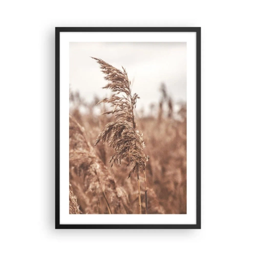 Poster in einem schwarzem Rahmen - Gras vor einer nebligen Landschaft in natürlichen Farben - 50x70cm - Auf den Feldern ist es schon Herbst - Moderne Wanddekoration für Wohnzimmer und Schlafzimmer ARTTOR