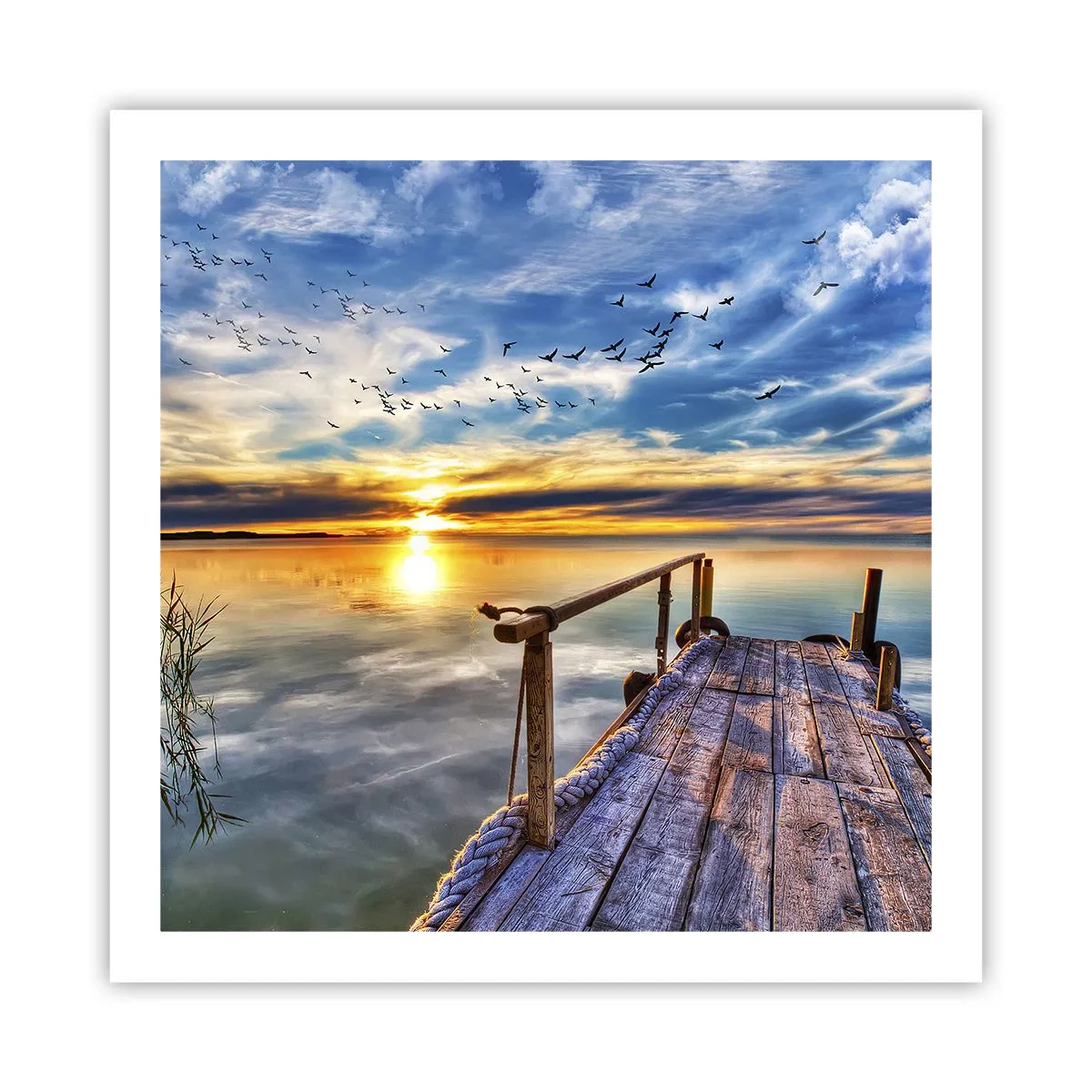 Poster - Der Wind geht zur Ruhe - 60x60 cm