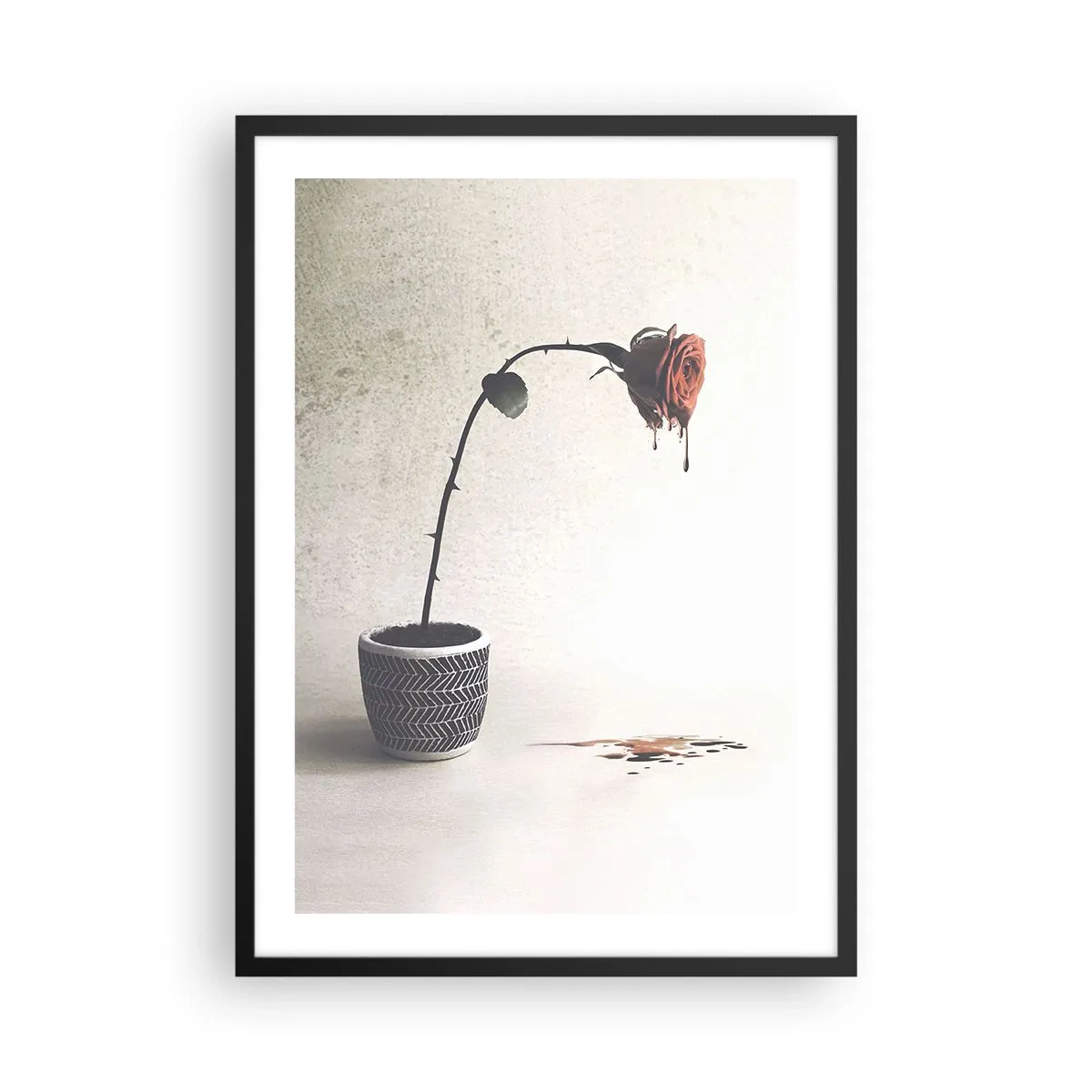 Poster in einem schwarzem Rahmen - Eine Topfrose mit kunstvoll fließendem Effekt - 50x70cm - Rosa dolorosa - Moderne Wanddekoration für Wohnzimmer und Schlafzimmer ARTTOR