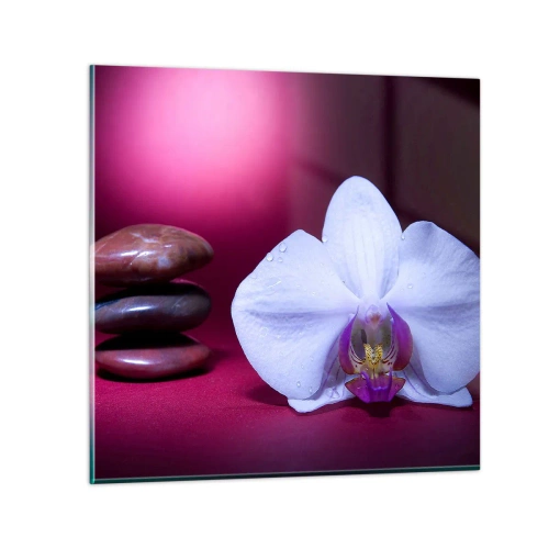 Glasbild - Bild auf glas - Eine Studie der Frische in Lila - 70x70 cm