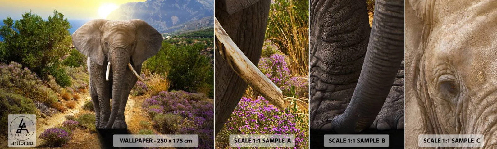 Fototapetenmuster Standard Eco - So sah Eden aus - Tiere, Elefant, Safari - 100x30 cm