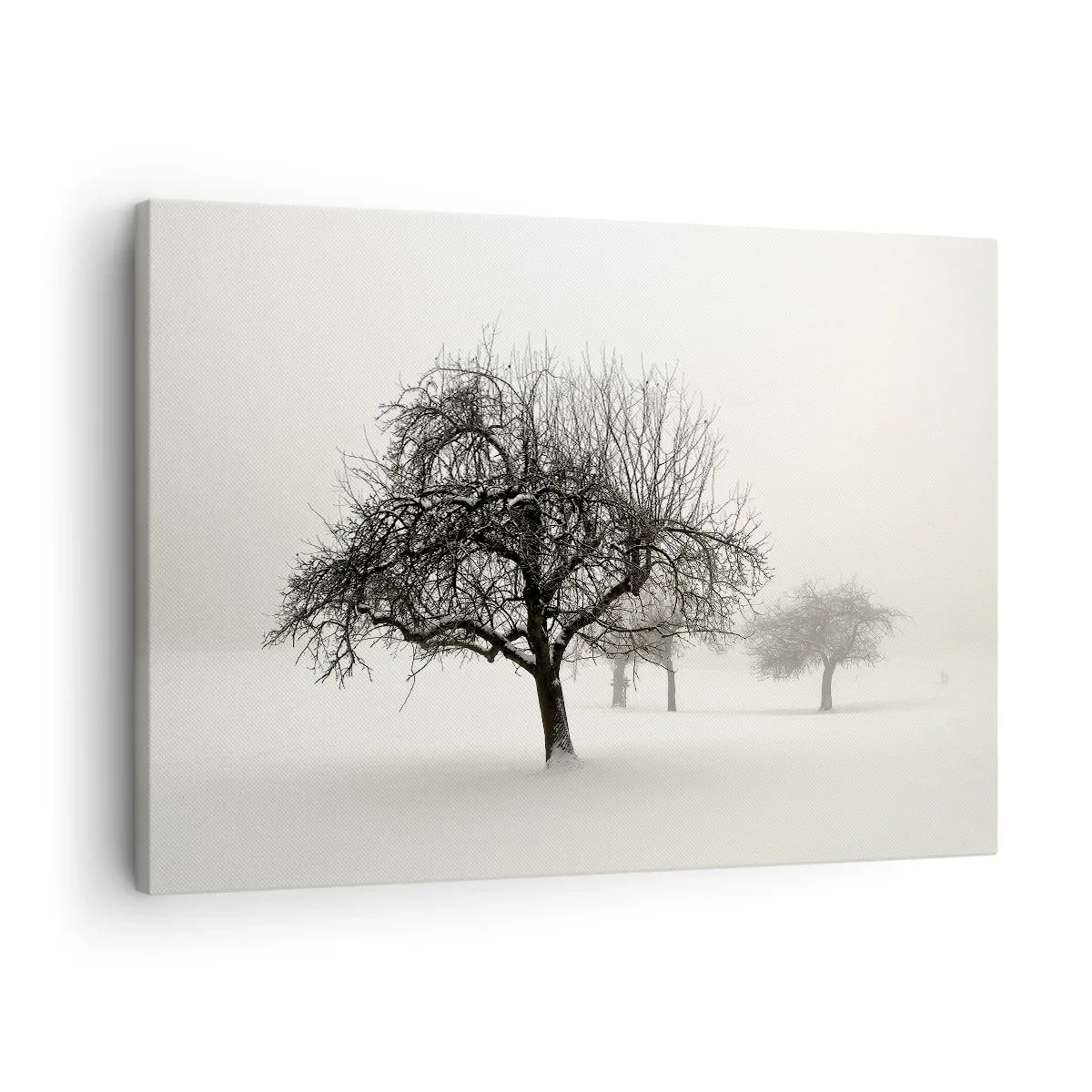 Bild auf Leinwand - Leinwandbild - Bäume auf einem schneebedeckten Feld, umgeben von Nebel - 70x50cm - Winterschlaf - Moderne Wanddekoration für Wohnzimmer und Schlafzimmer ARTTOR