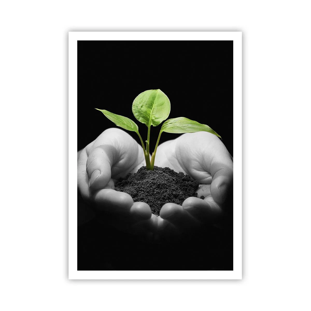 Poster - Ich liebe die Natur, ich beschütze sie - 70x100 cm