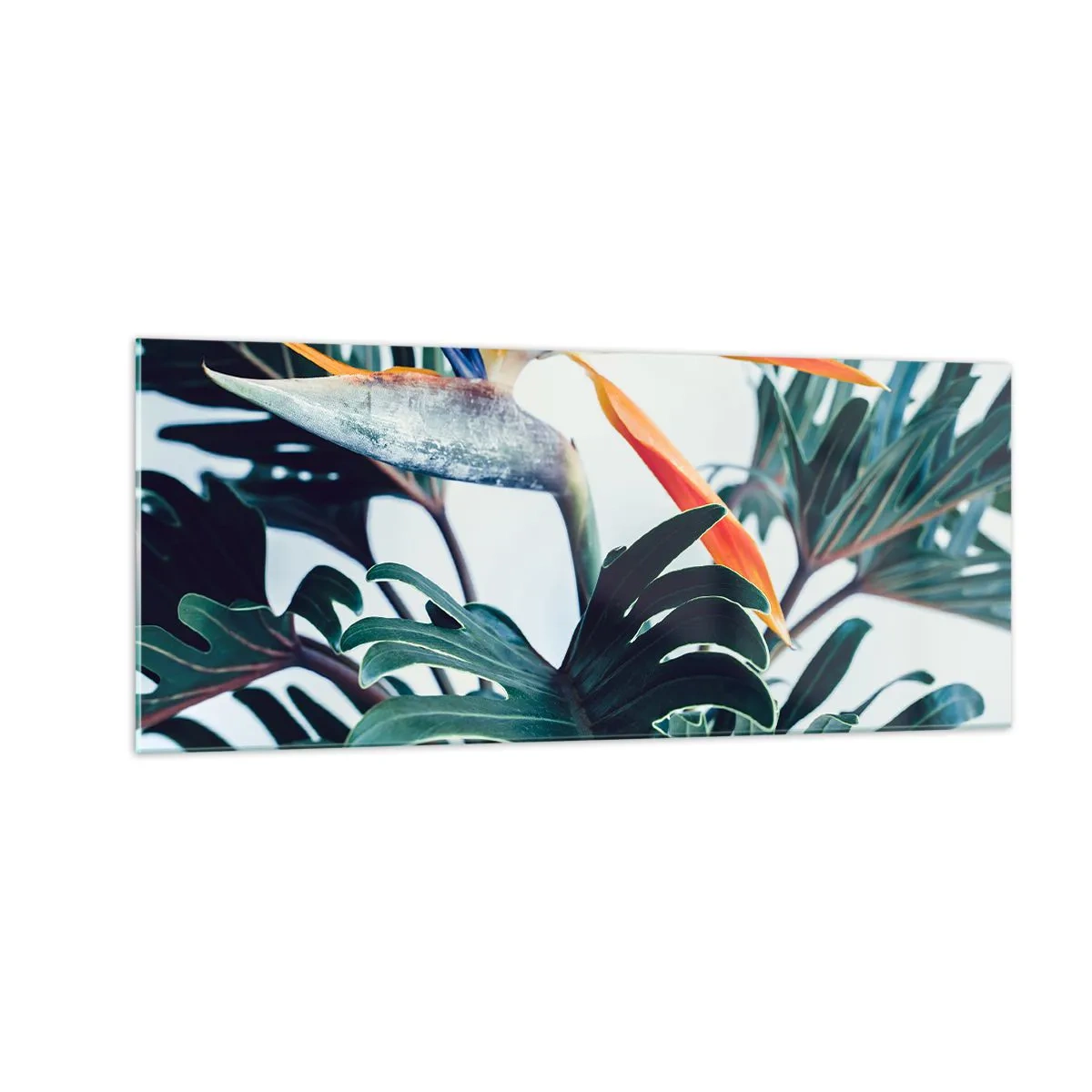 Glasbild - Bild auf glas - Vogelbusch - 100x40 cm
