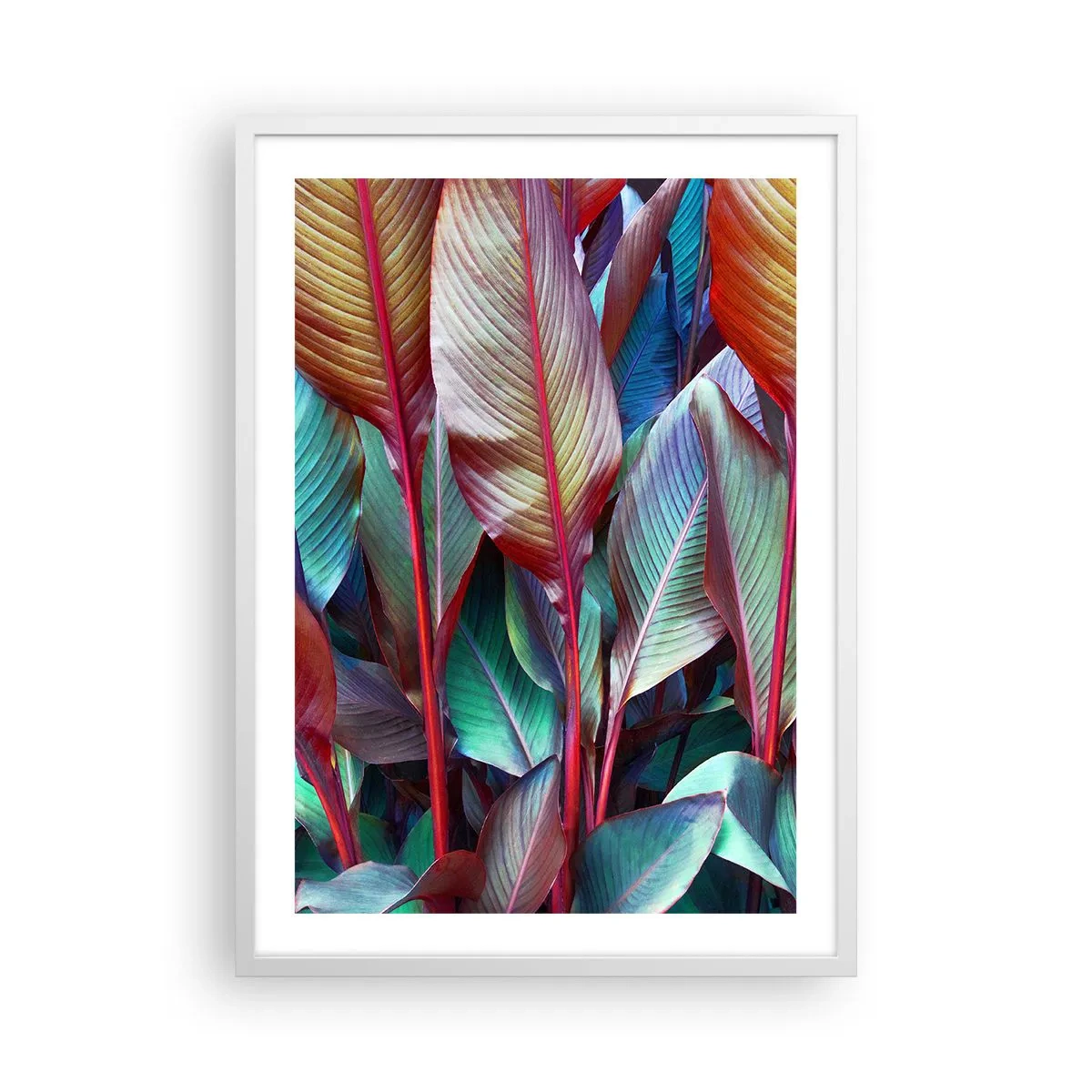 Poster in einem weißen Rahmen - Buntes Dickicht - 50x70 cm