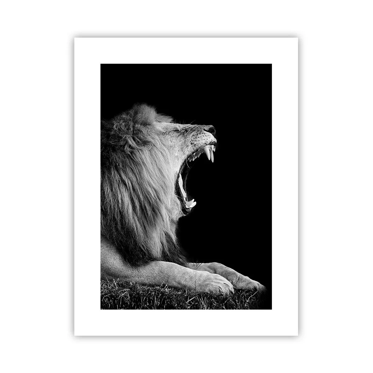 Poster - Ohne Zweifel - 30x40 cm