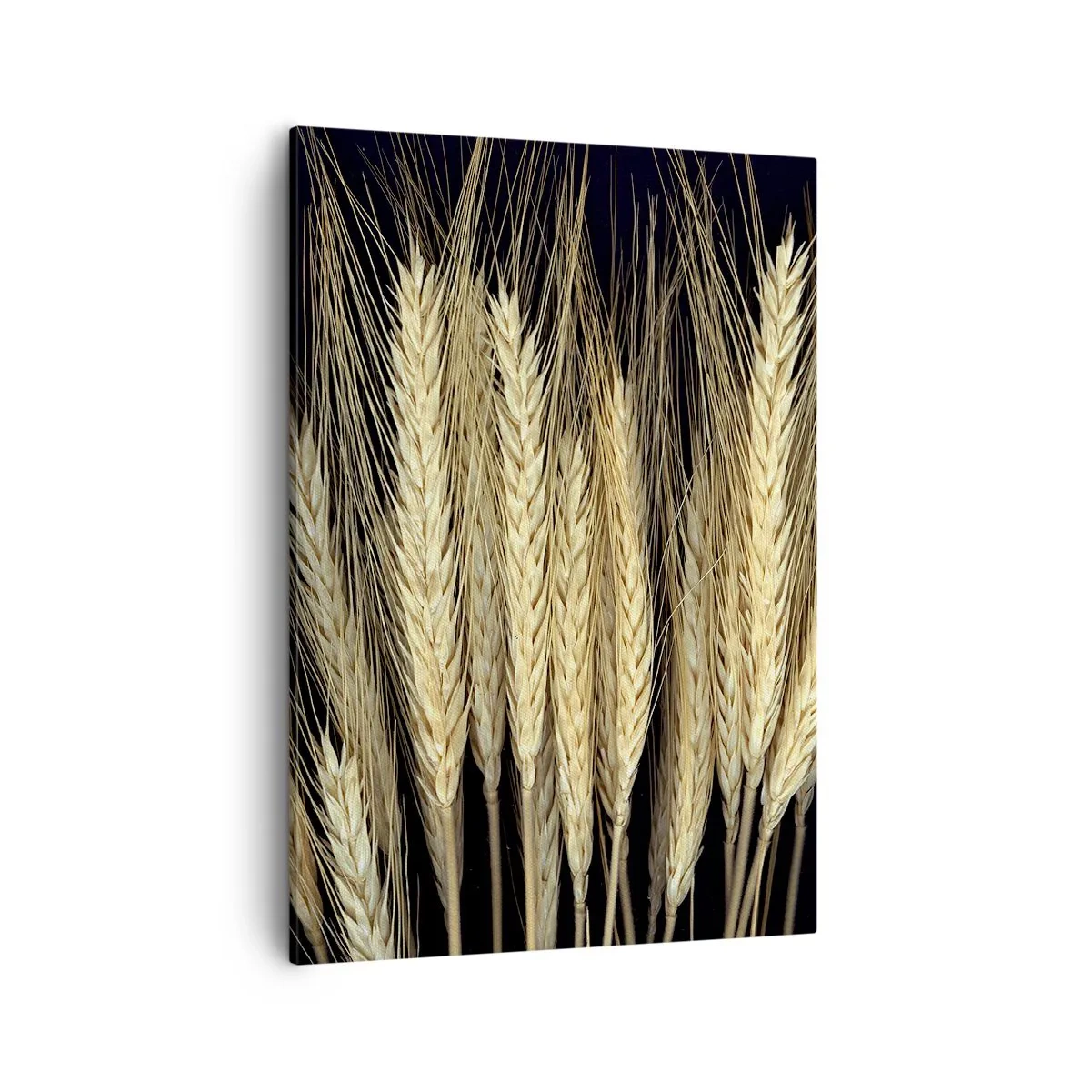 Bild auf Leinwand - Leinwandbild - Weizenähren auf schwarzem Hintergrund im rustikalen Stil - 50x70cm - Rustikale Magie - Moderne Wanddekoration für Wohnzimmer und Schlafzimmer ARTTOR