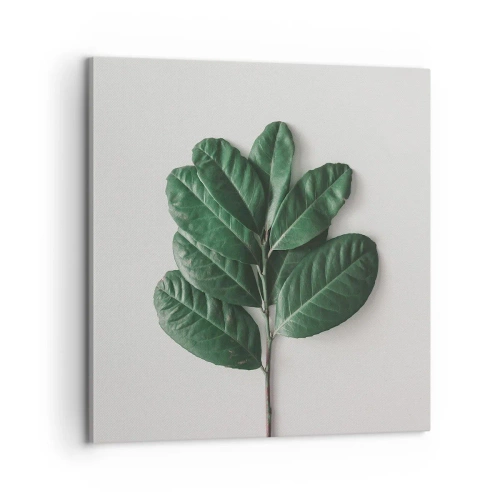 Bild auf Leinwand - Leinwandbild - Eine Zeichnung purer Natur - 60x60 cm