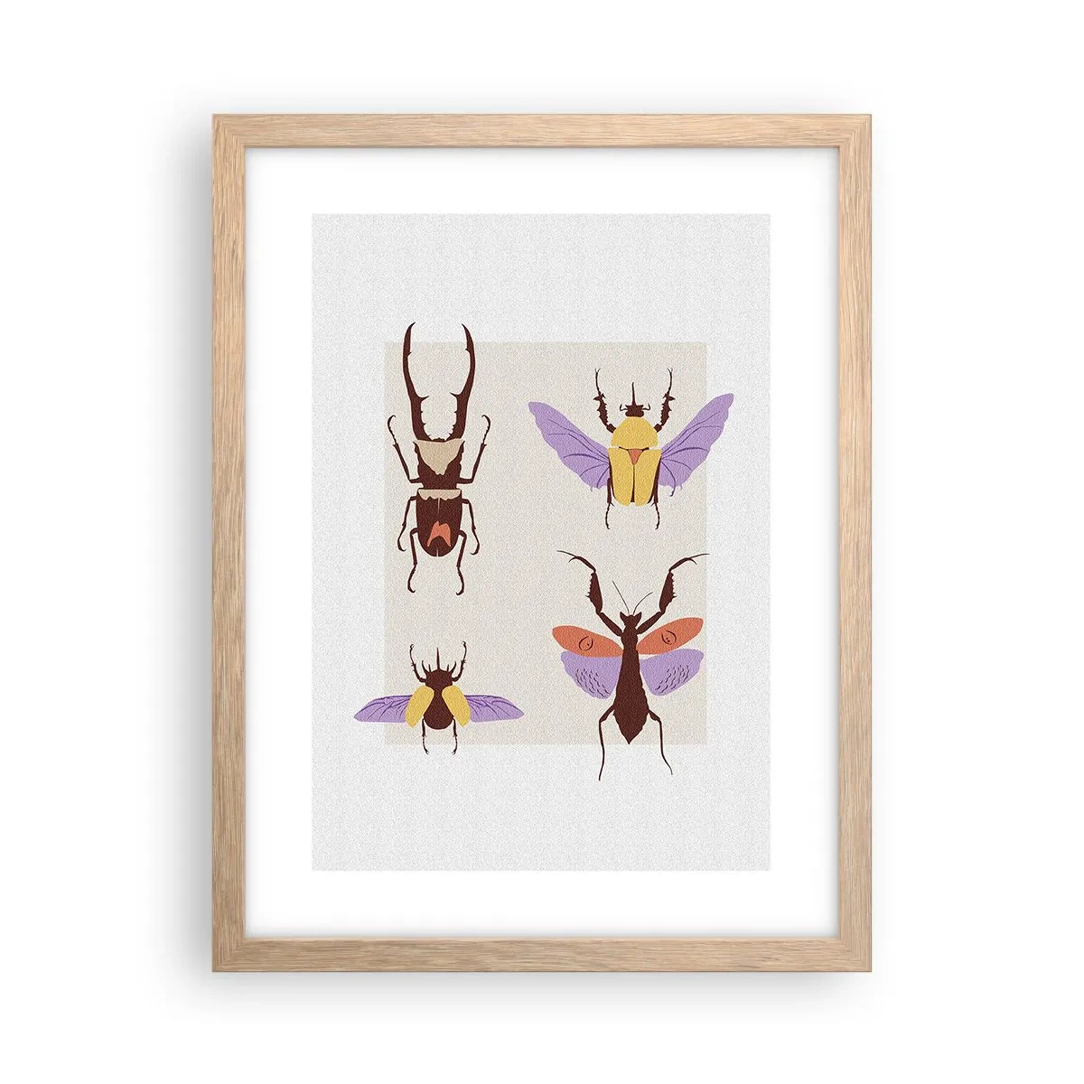 Poster in einem Rahmen aus heller Eiche - Insektenwelt - 30x40 cm