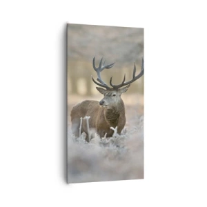 Bild auf Leinwand - Leinwandbild - Ein flotter Morgen - 65x120 cm