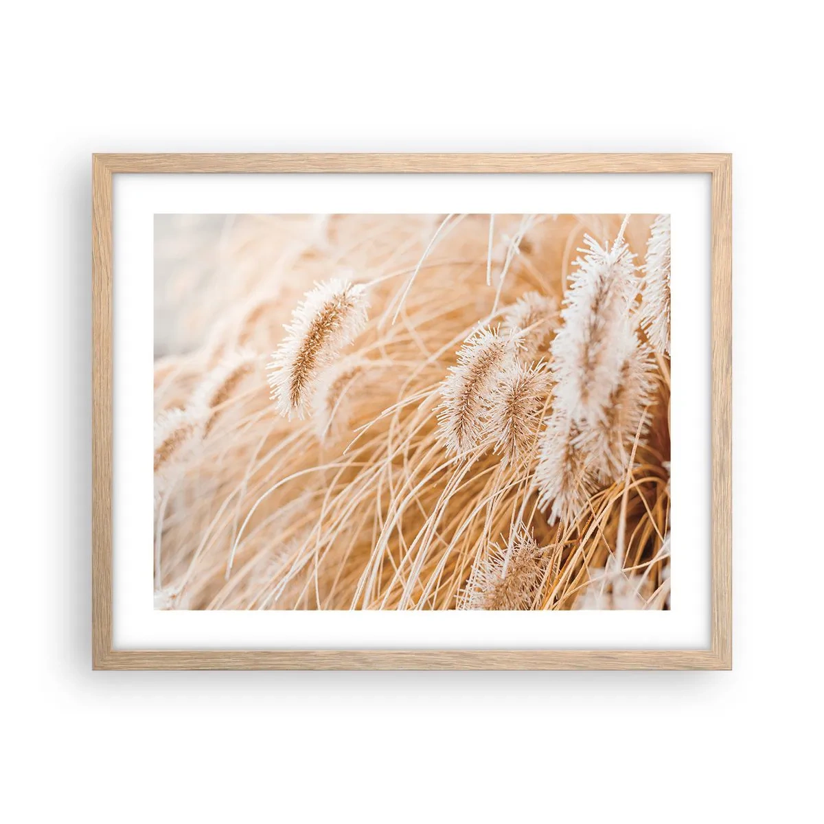 Poster in einem Rahmen aus heller Eiche - Das goldene Rauschen des Grases - 50x40 cm