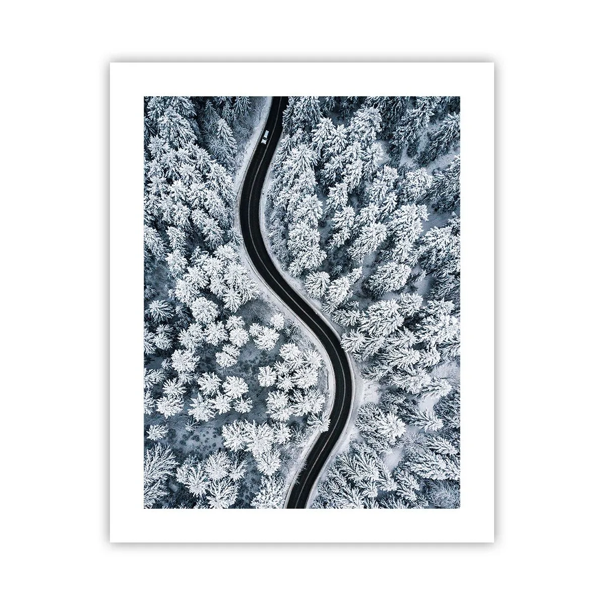 Poster - Durch den Winterwald - 40x50 cm