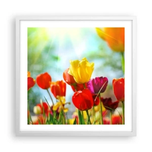 Poster in einem weißen Rahmen - Alle Farben der Sonne - 50x50 cm