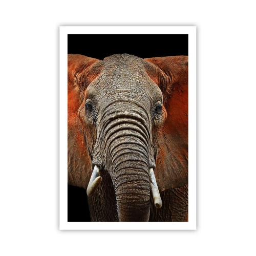 Poster - Ich bin wild und du? - 61x91 cm