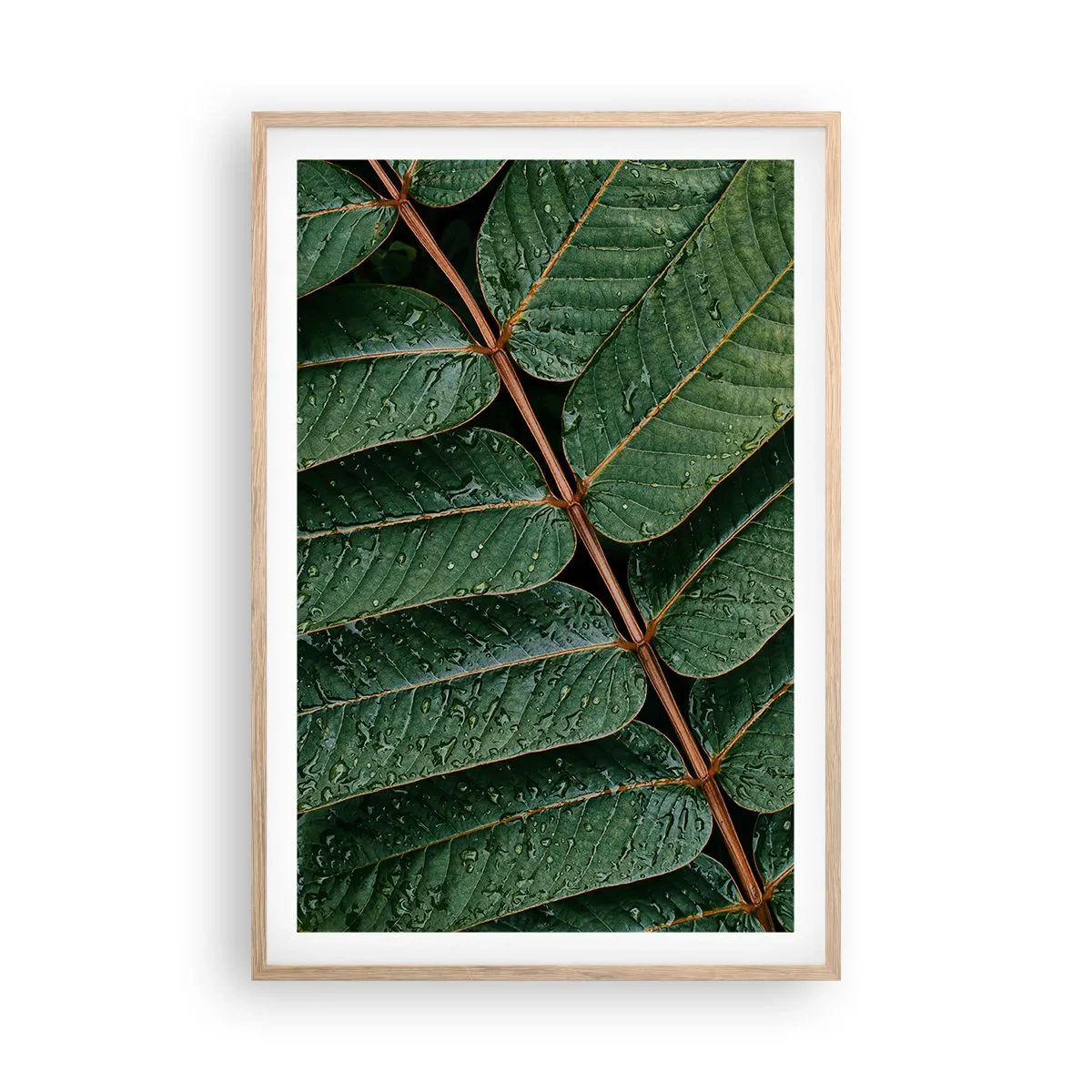 Poster in einem Rahmen aus heller Eiche - Im grünen Rhythmus - 61x91 cm