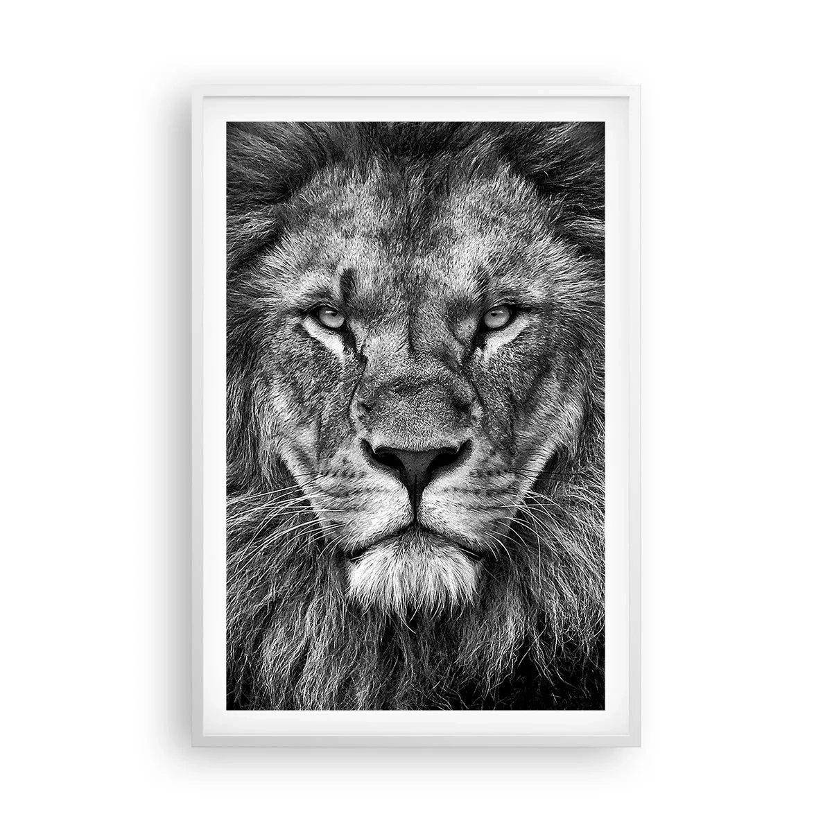 Poster in einem weißen Rahmen - Im Krönungsgewand - 61x91 cm