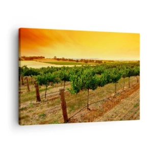 Bild auf Leinwand - Leinwandbild - Weinreben auf einer Plantage bei einem goldenen Sonnenuntergang - 70x50cm - Holen Sie sich einen Drink von der Sonne - Moderne Wanddekoration für Wohnzimmer und Schlafzimmer ARTTOR